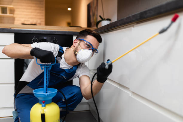 Best Mosquito Control Services  in Mayer, AZ