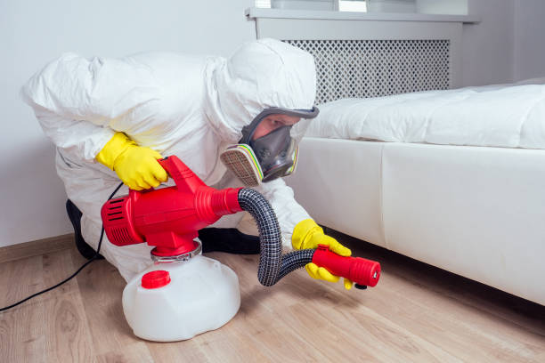 Best Affordable Pest Control Services  in Mayer, AZ